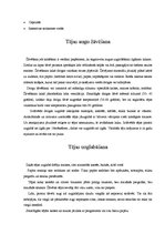 Referāts 'Zaļā tēja', 12.