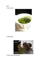 Referāts 'Zaļā tēja', 18.