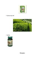 Referāts 'Zaļā tēja', 19.