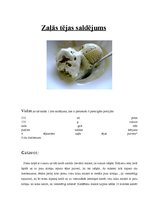 Referāts 'Zaļā tēja', 21.