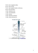 Referāts 'Troksnis', 6.