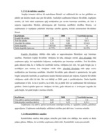 Referāts 'Uzņēmuma "Olainfarm" finanšu analīze', 13.