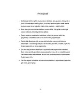 Referāts 'Muskulatūras attīstīšana', 31.