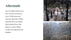 Prezentācija 'Bushfires in Australia', 13.