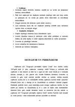 Referāts 'Uzņēmuma "X" vadīšanas analīze', 53.