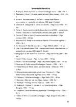 Diplomdarbs 'Informācijas pieejamība bērniem, uzsākot aprūpes procesu stacionārā', 55.