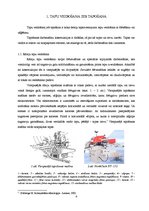 Referāts 'Noslēdzošā apstrāde', 4.