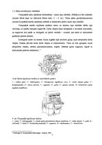 Referāts 'Noslēdzošā apstrāde', 7.