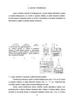 Referāts 'Noslēdzošā apstrāde', 10.