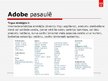 Prezentācija 'Adobe Systems Incorparated', 5.