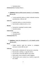 Referāts 'Tematiskais plāns un mācību stundas konspekts literatūrā 11.klasei', 4.
