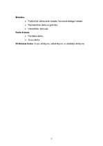 Referāts 'Tematiskais plāns un mācību stundas konspekts literatūrā 11.klasei', 5.