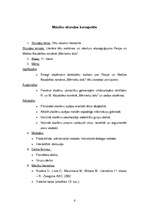 Referāts 'Tematiskais plāns un mācību stundas konspekts literatūrā 11.klasei', 6.