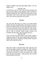 Referāts 'Zodiaka zīmes, numeroloģijas un horoskopu ietekme uz cilvēku', 80.