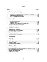 Biznesa plāns 'Uzņēmuma biznesa plāns', 2.