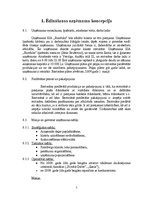 Biznesa plāns 'Uzņēmuma biznesa plāns', 5.