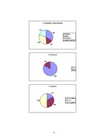 Biznesa plāns 'Uzņēmuma biznesa plāns', 11.