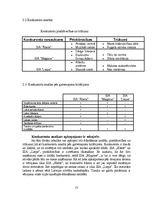 Biznesa plāns 'Uzņēmuma biznesa plāns', 13.