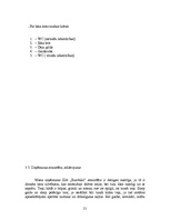 Biznesa plāns 'Uzņēmuma biznesa plāns', 21.