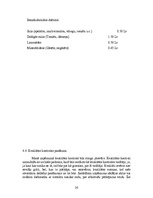 Biznesa plāns 'Uzņēmuma biznesa plāns', 26.