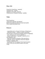 Referāts 'Anatomy of the Eye', 4.