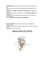 Referāts 'Anatomy of the Eye', 6.