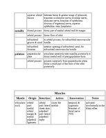 Referāts 'Anatomy of the Eye', 18.