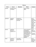 Referāts 'Anatomy of the Eye', 21.