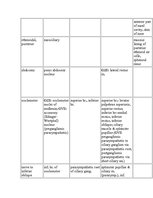 Referāts 'Anatomy of the Eye', 23.