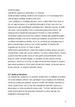 Biznesa plāns 'Krodziņš "Mākonīts"', 17.