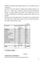 Biznesa plāns 'Krodziņš "Mākonīts"', 24.