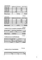 Biznesa plāns 'Krodziņš "Mākonīts"', 25.