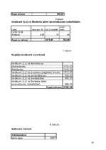 Biznesa plāns 'Krodziņš "Mākonīts"', 26.