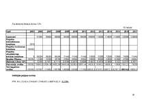 Biznesa plāns 'Krodziņš "Mākonīts"', 29.