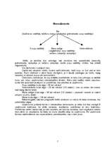 Biznesa plāns 'Biznesa plāns I/K "Pastaidziņa"', 7.