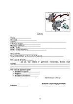 Biznesa plāns 'Biznesa plāns I/K "Pastaidziņa"', 13.