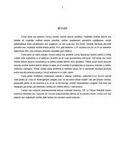 Referāts 'Kādas sekas rada valdības budžeta deficīts', 2.