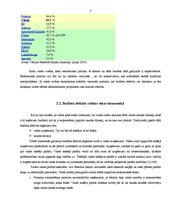 Referāts 'Kādas sekas rada valdības budžeta deficīts', 8.