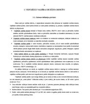 Referāts 'Kādas sekas rada valdības budžeta deficīts', 10.