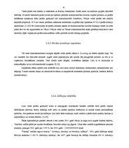 Referāts 'Kādas sekas rada valdības budžeta deficīts', 14.