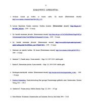 Referāts 'Kādas sekas rada valdības budžeta deficīts', 21.