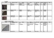 Konspekts 'Minerālu klases, to raksturojums, īpašības', 1.