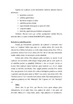 Konspekts 'Analīze diviem konkurējošiem uzņēmumiem', 3.