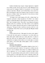 Konspekts 'Analīze diviem konkurējošiem uzņēmumiem', 5.