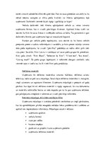 Konspekts 'Analīze diviem konkurējošiem uzņēmumiem', 6.