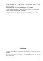 Prakses atskaite 'Prakses atskaite tirgzinībās', 13.