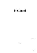 Prakses atskaite 'Prakses atskaite tirgzinībās', 16.