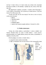 Referāts 'Sieviešu informētība par masāžas procedūru  vēnu varikozes saslimšanas gadījumā', 12.