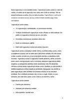 Eseja 'Organizācijas kultūra un personāla vadība', 4.