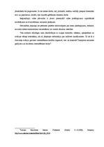 Referāts 'Dzelzceļa katastrofas apraksts pilsētā N', 8.